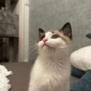 ヒメ日記 2025/01/29 23:46 投稿 ここ E+アイドルスクール池袋店