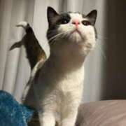 ヒメ日記 2025/02/24 22:46 投稿 ここ E+アイドルスクール池袋店