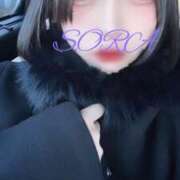 ヒメ日記 2025/02/11 17:50 投稿 そら 男爵