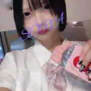 ヒメ日記 2025/02/14 11:57 投稿 そら 男爵