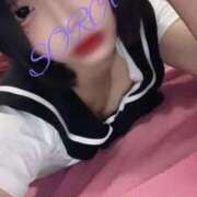 ヒメ日記 2025/02/26 14:54 投稿 そら 男爵