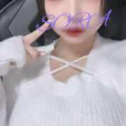 ヒメ日記 2025/03/17 15:24 投稿 そら 男爵