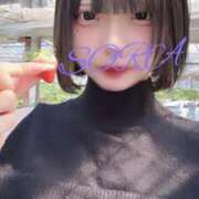 ヒメ日記 2025/03/24 13:27 投稿 そら 男爵