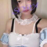 ヒメ日記 2025/03/28 17:53 投稿 そら 男爵