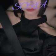 ヒメ日記 2025/04/12 02:51 投稿 そら 男爵