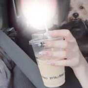 ヒメ日記 2025/06/07 11:54 投稿 そら 男爵