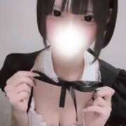 ヒメ日記 2025/06/11 17:15 投稿 そら 男爵