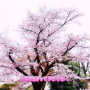 ヒメ日記 2025/03/30 18:15 投稿 ゆうか ～優しい若妻倶楽部～Mrs.女神