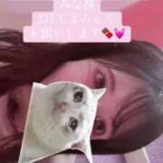 ヒメ日記 2025/02/01 21:16 投稿 つむぎ 道玄坂クリスタル