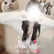 ヒメ日記 2025/03/01 01:36 投稿 つむぎ 道玄坂クリスタル