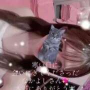 ヒメ日記 2025/03/04 15:26 投稿 つむぎ 道玄坂クリスタル