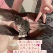 ヒメ日記 2025/03/15 10:21 投稿 つむぎ 道玄坂クリスタル