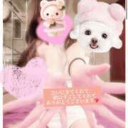 ヒメ日記 2025/03/28 20:16 投稿 つむぎ 道玄坂クリスタル