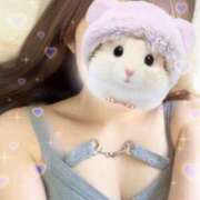 ヒメ日記 2025/04/02 17:34 投稿 つむぎ 道玄坂クリスタル