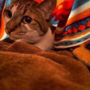 ヒメ日記 2025/05/30 11:28 投稿 つむぎ 道玄坂クリスタル