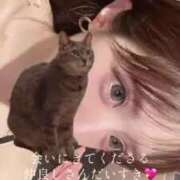 ヒメ日記 2025/07/13 21:16 投稿 つむぎ 道玄坂クリスタル