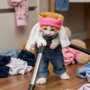 ヒメ日記 2025/09/08 16:39 投稿 つむぎ 道玄坂クリスタル