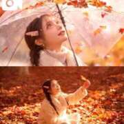 ヒメ日記 2025/11/02 13:51 投稿 つむぎ 道玄坂クリスタル