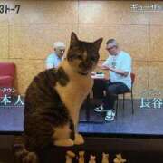 ヒメ日記 2025/11/07 15:16 投稿 つむぎ 道玄坂クリスタル