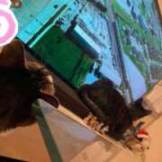 ヒメ日記 2025/11/15 01:46 投稿 つむぎ 道玄坂クリスタル