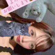 ヒメ日記 2025/11/19 09:46 投稿 つむぎ 道玄坂クリスタル