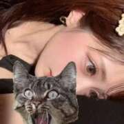 ヒメ日記 2025/11/24 17:56 投稿 つむぎ 道玄坂クリスタル