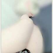 桃【もも】 寄り添い風 丸妻 西船橋店