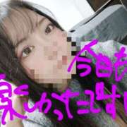 ヒメ日記 2025/03/09 04:35 投稿 ちか ちゃんこ湘南平塚店