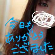 ヒメ日記 2025/04/12 04:45 投稿 ちか ちゃんこ湘南平塚店