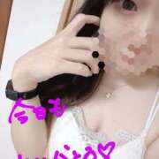 ヒメ日記 2025/05/31 05:15 投稿 ちか ちゃんこ湘南平塚店