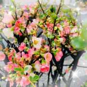 ヒメ日記 2025/03/17 18:12 投稿 ほなみ 横浜ミセスアロマ（ユメオト）