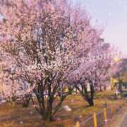 ヒメ日記 2025/03/25 22:08 投稿 ほなみ 横浜ミセスアロマ（ユメオト）