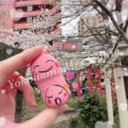 ヒメ日記 2025/04/07 19:21 投稿 ほなみ 横浜ミセスアロマ（ユメオト）