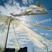 ヒメ日記 2025/04/11 13:29 投稿 ほなみ 横浜ミセスアロマ（ユメオト）