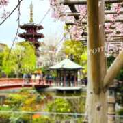 ヒメ日記 2025/04/16 02:54 投稿 ほなみ 横浜ミセスアロマ（ユメオト）