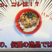 ヒメ日記 2025/05/11 09:42 投稿 ほなみ 横浜ミセスアロマ（ユメオト）