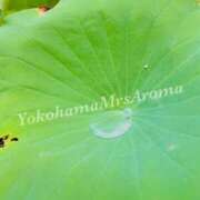 ヒメ日記 2025/10/04 16:15 投稿 ほなみ 横浜ミセスアロマ（ユメオト）