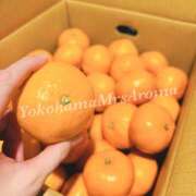 ヒメ日記 2025/12/16 12:10 投稿 ほなみ 横浜ミセスアロマ（ユメオト）