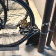 ヒメ日記 2026/04/13 23:26 投稿 ほなみ 横浜ミセスアロマ（ユメオト）