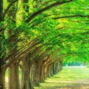 ヒメ日記 2025/02/08 08:55 投稿 石田ゆり(いしだゆり) 九州熟女　八代店