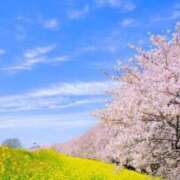 ヒメ日記 2025/03/03 08:51 投稿 石田ゆり(いしだゆり) 九州熟女　八代店