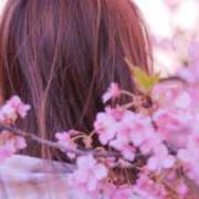 ヒメ日記 2025/03/28 16:15 投稿 石田ゆり(いしだゆり) 九州熟女　八代店