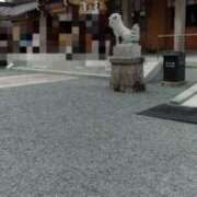 ヒメ日記 2025/05/20 17:25 投稿 石田ゆり(いしだゆり) 九州熟女　八代店