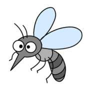 ヒメ日記 2025/06/07 06:45 投稿 石田ゆり(いしだゆり) 九州熟女　八代店