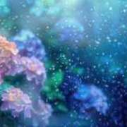 ヒメ日記 2025/06/09 08:15 投稿 石田ゆり(いしだゆり) 九州熟女　八代店