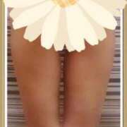 ヒメ日記 2025/07/05 09:37 投稿 石田ゆり(いしだゆり) 九州熟女　八代店