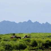 ヒメ日記 2025/07/19 15:05 投稿 石田ゆり(いしだゆり) 九州熟女　八代店