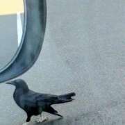 ヒメ日記 2025/08/01 08:15 投稿 石田ゆり(いしだゆり) 九州熟女　八代店