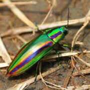 ヒメ日記 2025/08/22 20:05 投稿 石田ゆり(いしだゆり) 九州熟女　八代店