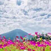 ヒメ日記 2025/10/01 07:35 投稿 石田ゆり(いしだゆり) 九州熟女　八代店